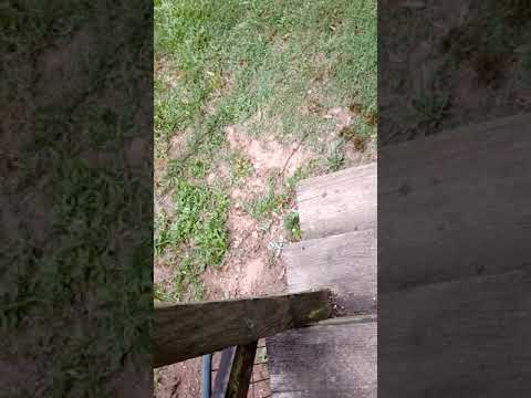 Double barrel SBS one handed