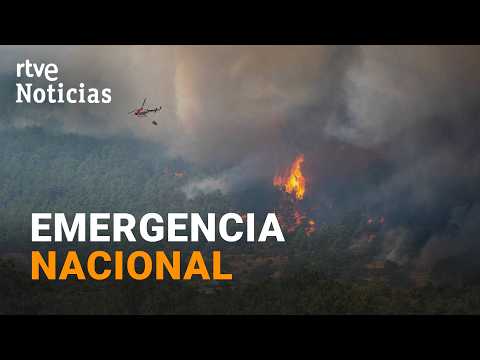Avanzan sin control los incendios en la Comunidad de Madrid y Ávila | RTVE Noticias