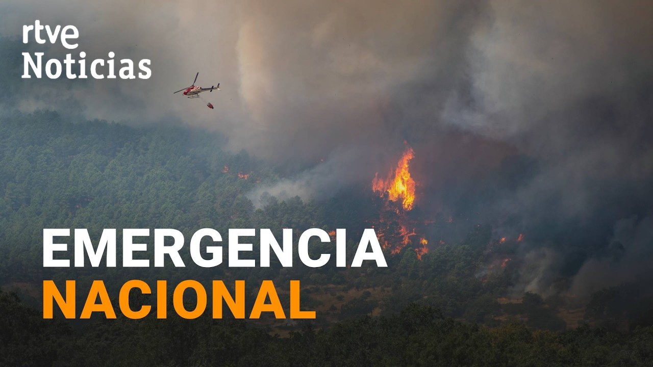Avanzan sin control los incendios en la Comunidad de Madrid y Ávila | RTVE Noticias