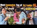 Sri Lanka Ki Sabse Expensive And Rare GOLD TEA || 15000 Ki Chai || Tea Factory Of Sri Lanka 🇱🇰