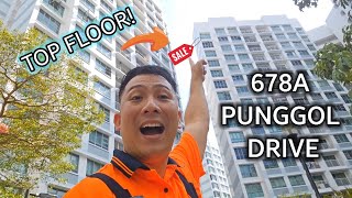 FOR SALE! 678A Punggol Drive. 4rm HDB. TOP FLOOR. designed by me! SOLD in 2024
