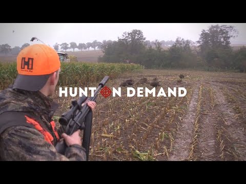 Maisernte 2019 - Mehr Sauen als Mais vorm Hacker – Hunter Brothers Hunt on Demand Trailer