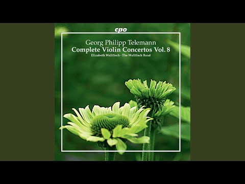 Double Violin Concerto in B-Flat Major, TWV 52:B2: I. Adagio