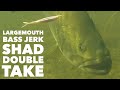 Largemouth Bass Jerk Shad Double Take. #shorts