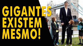 TOP 8 GIGANTES DA VIDA REAL QUE EXISTEM