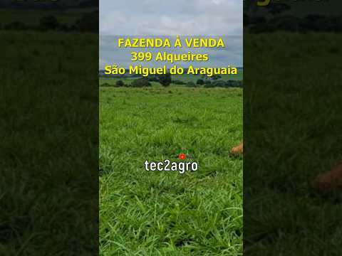 🌱 399 ALQUEIRES SÃO MIGUEL DO ARAGUAIA #fazenda #tec2agro #agro
