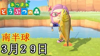 ３月終了間近！昼間にしか出現しない虫や魚を捕まえなきゃ！「あつまれ どうぶつの森」 [３月２９日]