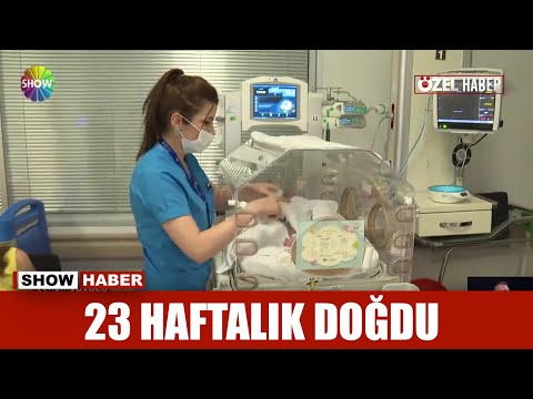 23 haftalık doğdu
