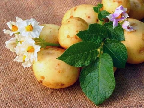 Эстрогены и пигментация на лице Гормональные таблетки пигментные пятна