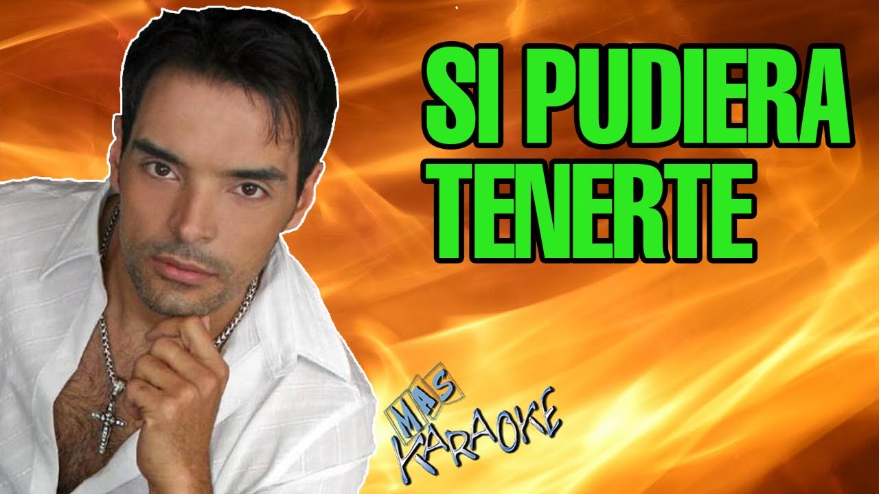 SI PUDIERA TENERTE
