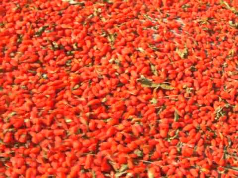 Cocktail sa gabi upang mawala ang timbang sa bahay Presyo Reduxine 15 30 capsules
