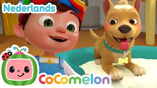 CoComelon Nederlands - Kinderliedjes