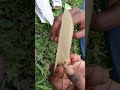 Gogo Paper Banane Ka Tarika How To Roll A Joint Gogo Roll Joint