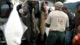 preview picture of video 'Homer Fishing Charters, FishONAlaska'