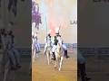 Indian File SultanBahadarAziz Team Sort Sultan Nezabazi Tentpegging Horse Rider Racer Club