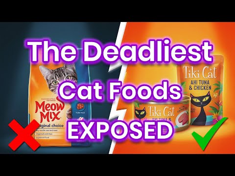 9 Cat Foods to AVOID at All Costs (And 2 That Are Safe)