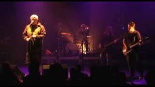 Freaks in Love - ALICE DONUT