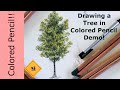 Drawing a Tree in Colored Pencil | Real-time Demo