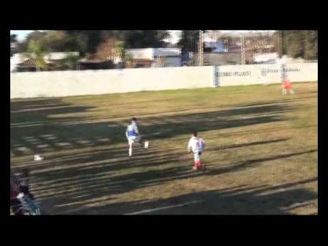 SHOW DE PATADAS Y AFINES