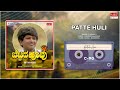Patte Huli Bettada Hoovu Puneeth Rajkumar Padma Vasanthi Kannada Movie Song MRT Music