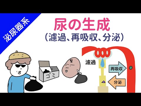 ウロボリ科について詳しく解説