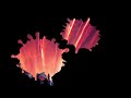 Jon Hunter Asura Sunrise
