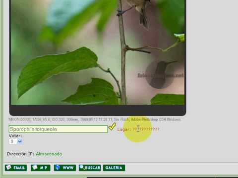 Como editar nombre y lugar de mis fotos