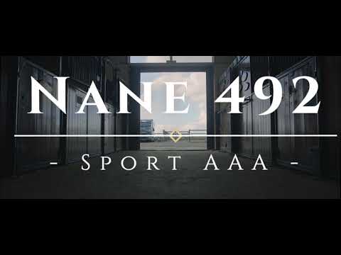 Henswoude Breeding & Export Stable - Nane 492 sport AAA