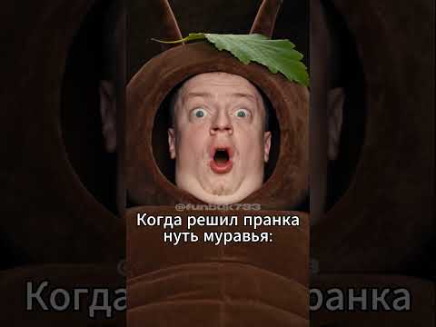 TWITCH: MELLSTROY Когда решил пранкануть муравья