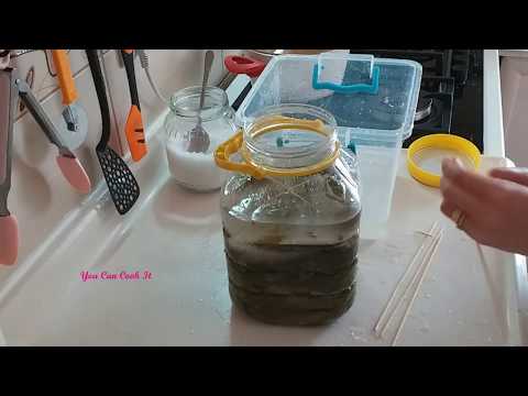 Video thumbnail: Japrakët – Gjethet që Mbartin Kujtime