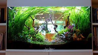 THIS RETIREMENT HOME AQUARIUM WILL BLOW YOUR MIND! | Full Tech & Planting Breakdown
