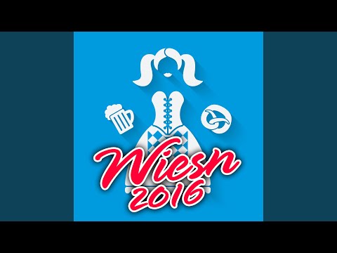 Zillertaler Hochzeitsmarsch (Oktoberfest 2016 XXL Mix)