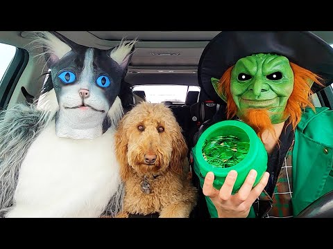 Goblin SURPRISES Puppy & Cat With Car Ride Chase