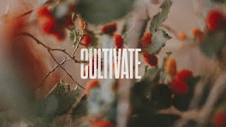 Cultivate: Digging Ditches series image