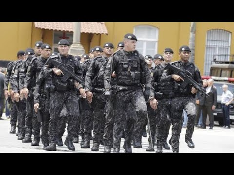 Canção de TFM pensa no Pinote sensacional PT 2