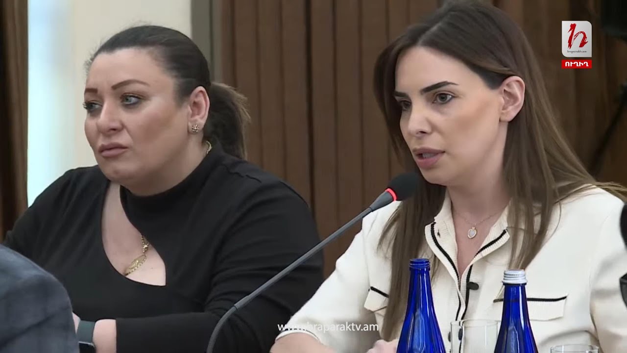 Նախկինում դուք կասեիք փոխքաղաքապետի սիրուհու համար նախատեսված հաստիք է. Թեհմինե Վարդանյան