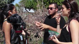 Resumen Gira a Santa FE