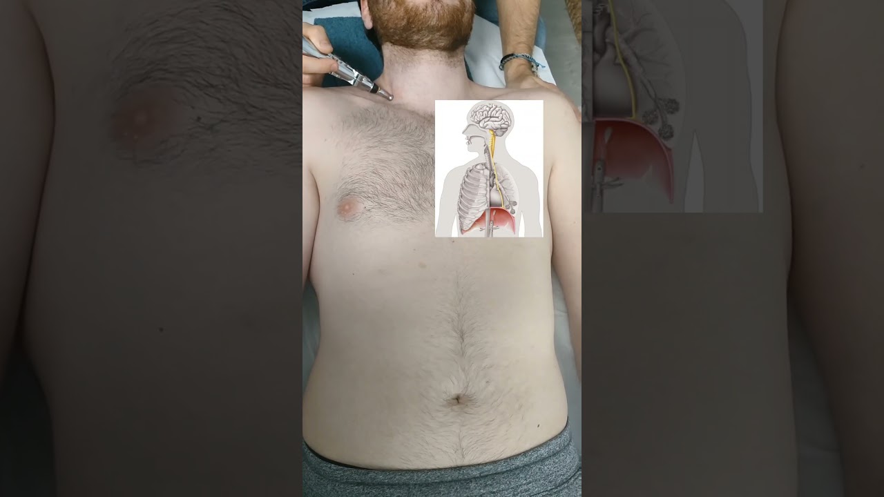 El nervio frénico inerva al músculo diafragma, por lo tanto estamos influyendo directamente sobre él