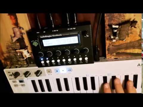Audiothingies Micromonsta polyphonic synth module image 4