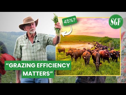 How To Graze EFFICIENTLY with EXPERT Jim Gerrish