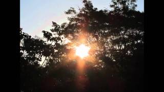 SEEK THE LORD by Roc O'Connor - Saint Louis Jesuits- with lyrics