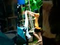 Vidioin Adik Ipar Cantik Abis Mandi