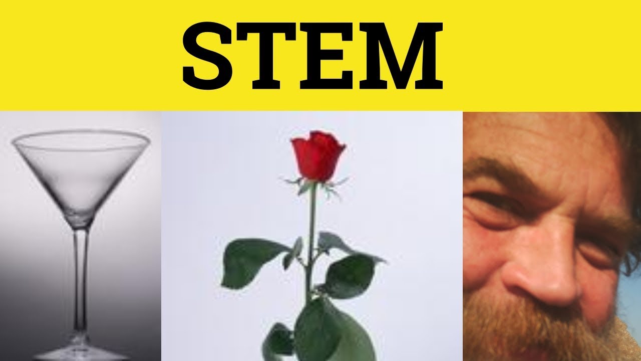 🔵 Stem Meaning - Stem From Defined - Stem Examples - Stem From Explained - Stem Definition Stem From