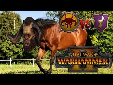 CENTIGOR STAMPEDE | Beastmen vs Dark Elves - Total War Warhammer 2