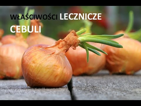 Gdy włosy wypadają Kefir maska do włosów witaminę E.