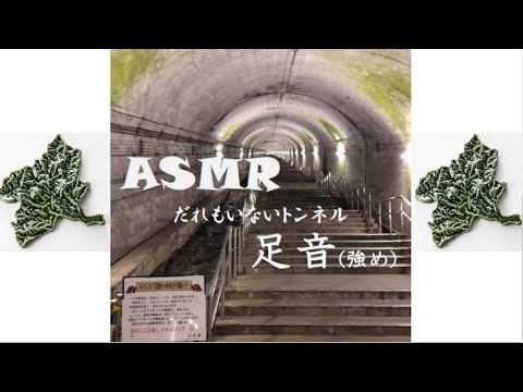 国際学科 【ASMR】誰もいないトンネル（日本一のモグラ駅：土合駅）の階段をひたすら歩くだけの動画（音フェチ トンネルの足音）。Doai Station.DOAI VILLAGE.
