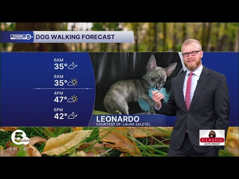 DOG WALKING FORECAST: Tiny jumps in temperatures today - YouTube