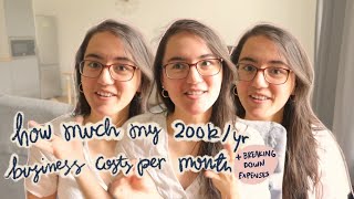 how much my $200K/year business costs per month + breaking down each business expense