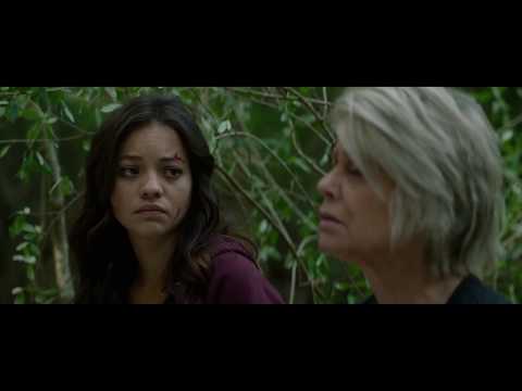 Terminator Dark Fate reScored - Sarah meets T800 (Ost’s Dune, T1,  Dark Fate, Color Out of Space )