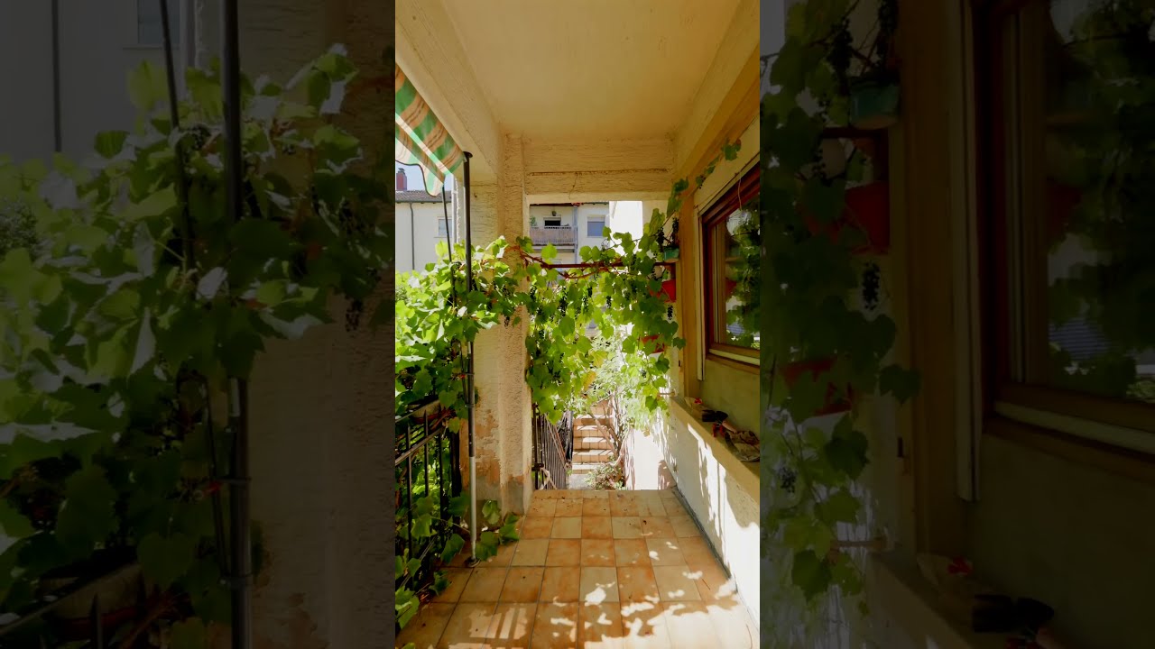 Immobilienvideo